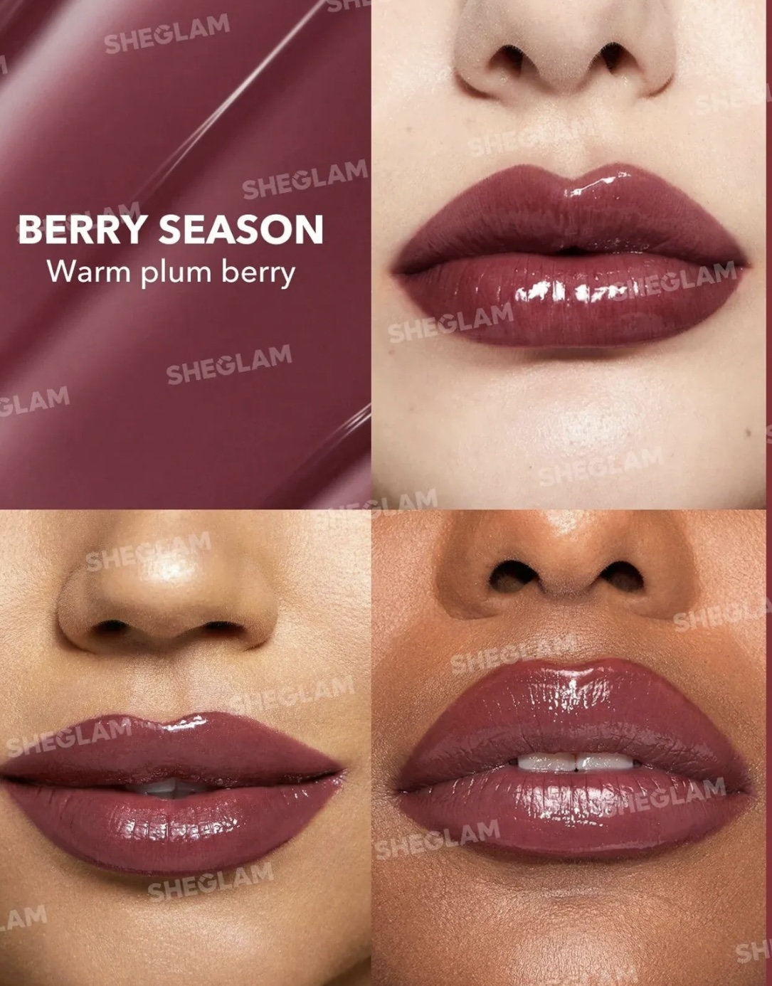 لیپ پلامپر berry season شیگلم