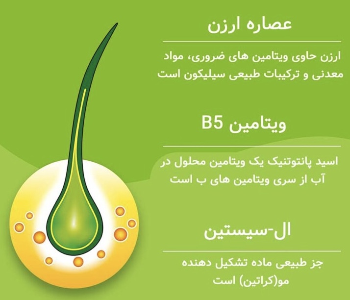 خرید مکمل ضدریزش هورمونی و ارثی پریورین بایر آلمان