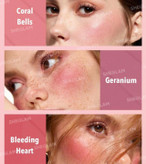 سفارش پالت ۶ رنگ رژگونه شیگلم