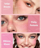 خرید پالت ۶ رنگ رژگونه شیگلم