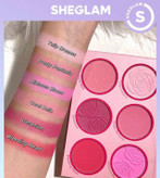 رنگبندی پالت ۶ رنگ رژگونه شیگلم