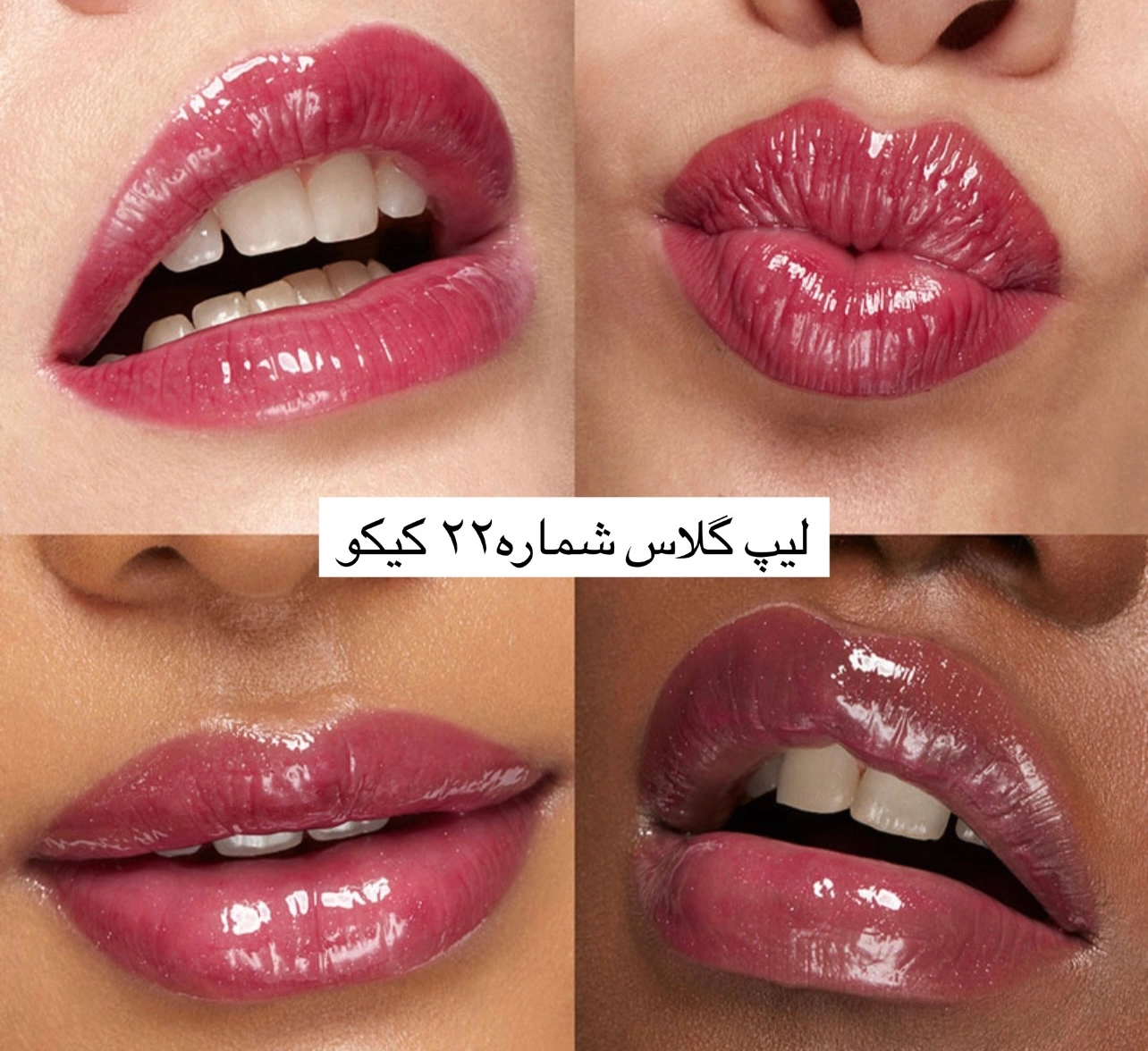 لیپ گلاس شماره ۲۲ کیکو